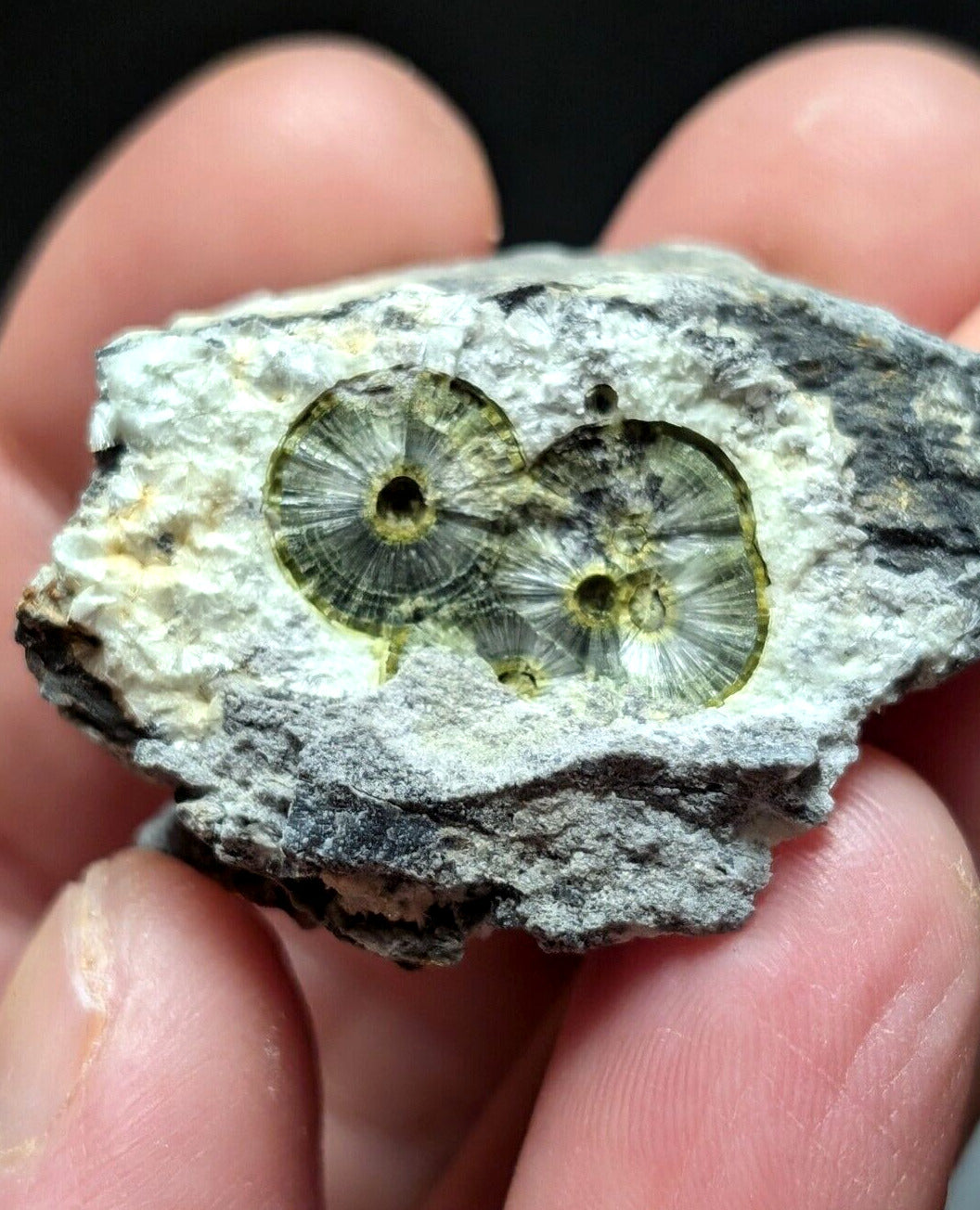 UV Reactive Wavellite -Old Stock - Mauldin Mountain Arkansas Amazing Eye Forms - Collectibles:Rocks Fossils &