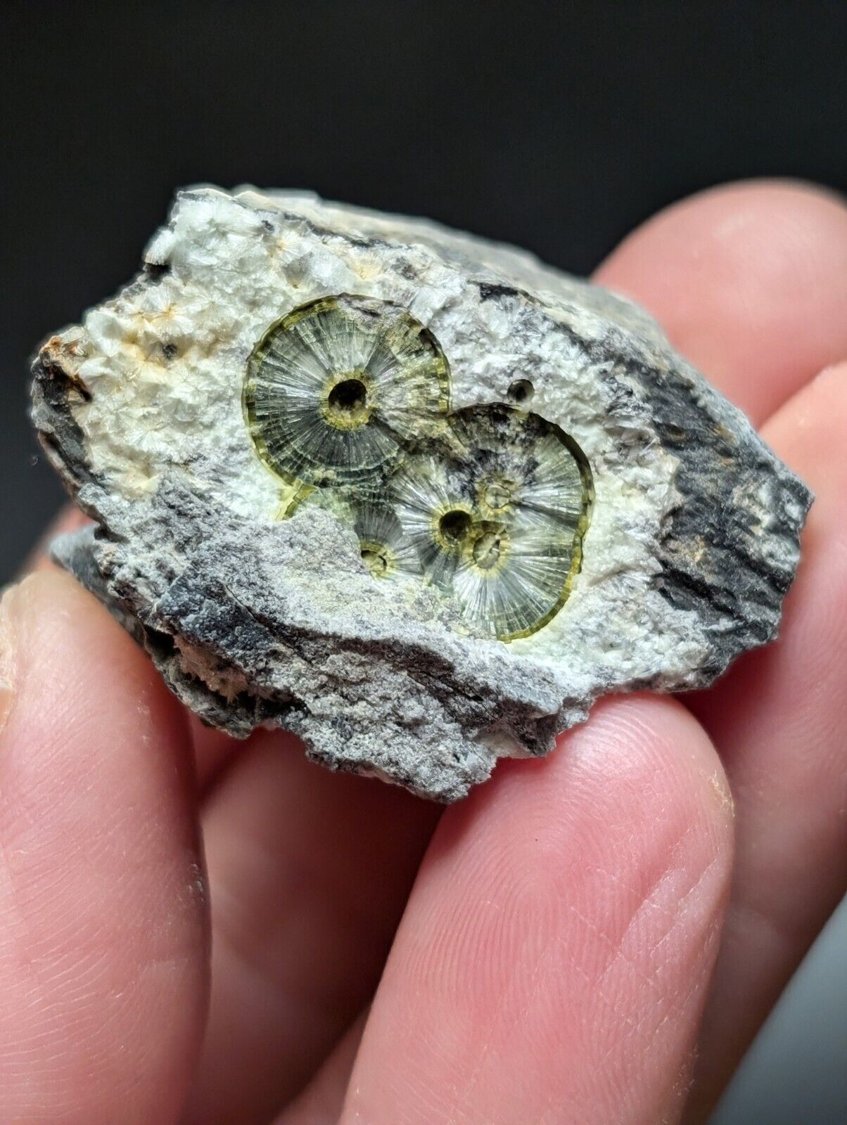 UV Reactive Wavellite -Old Stock - Mauldin Mountain Arkansas Amazing Eye Forms - Collectibles:Rocks Fossils &