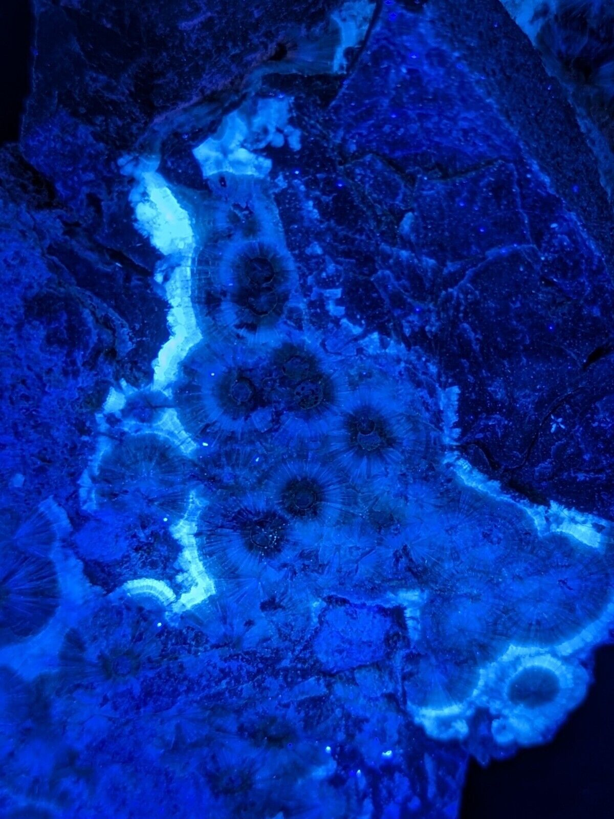 UV Reactive Wavellite -Old Stock - Mauldin Mountain Arkansas Amazing Eye Forms - Collectibles:Rocks Fossils &