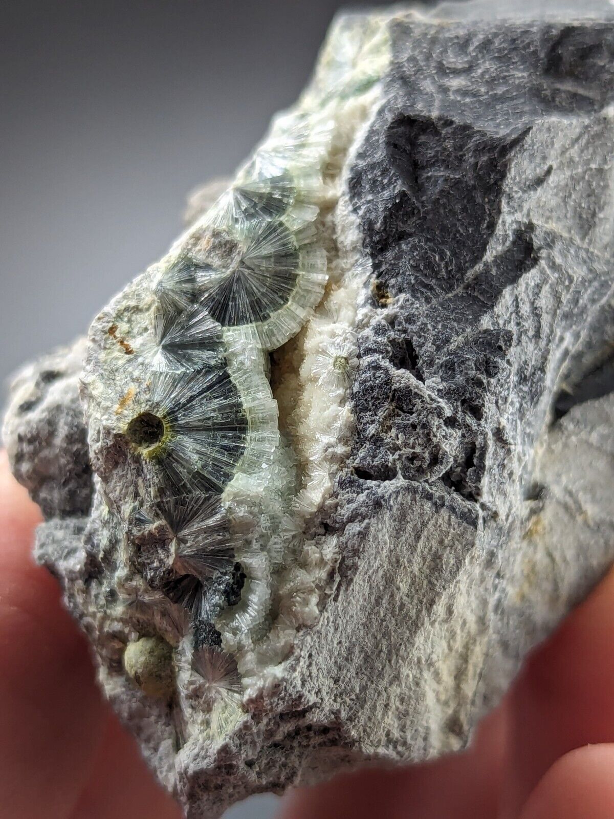 UV Reactive Wavellite -Old Stock - Mauldin Mountain Arkansas Amazing Eye Forms - Collectibles:Rocks Fossils &