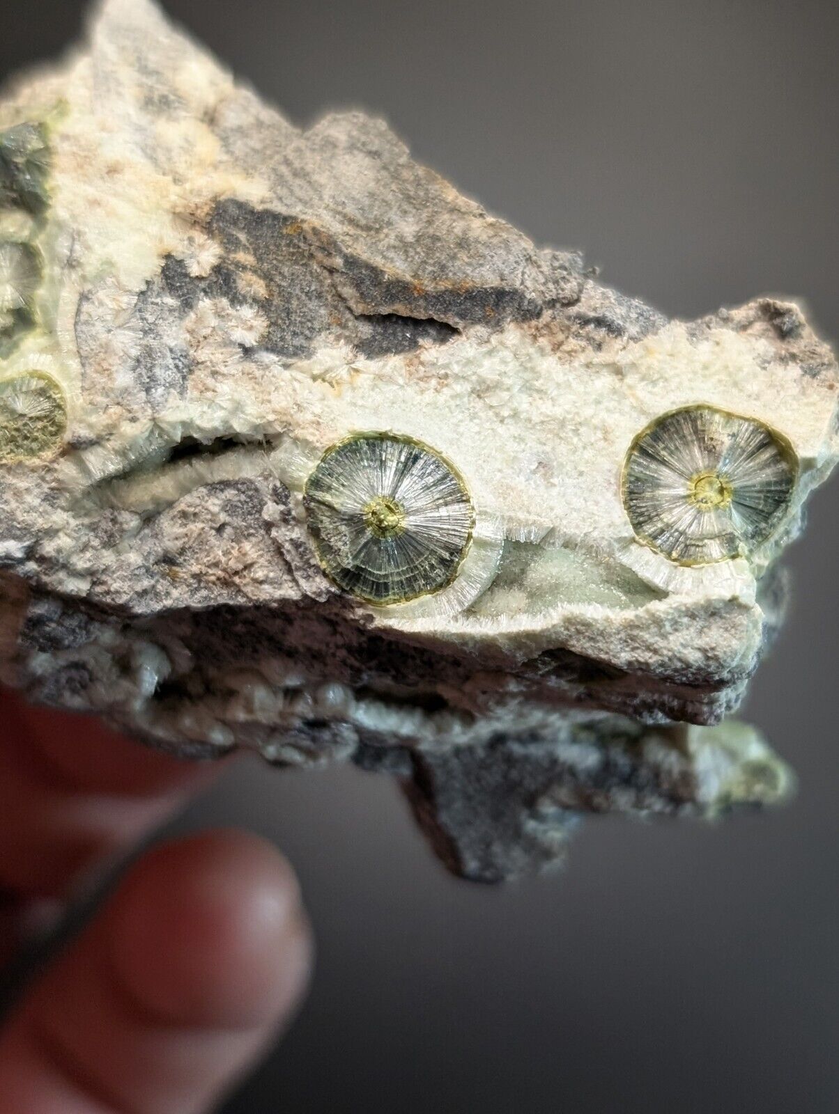 UV Reactive Wavellite -Old Stock - Mauldin Mountain Arkansas Amazing Eye Forms - Collectibles:Rocks Fossils &