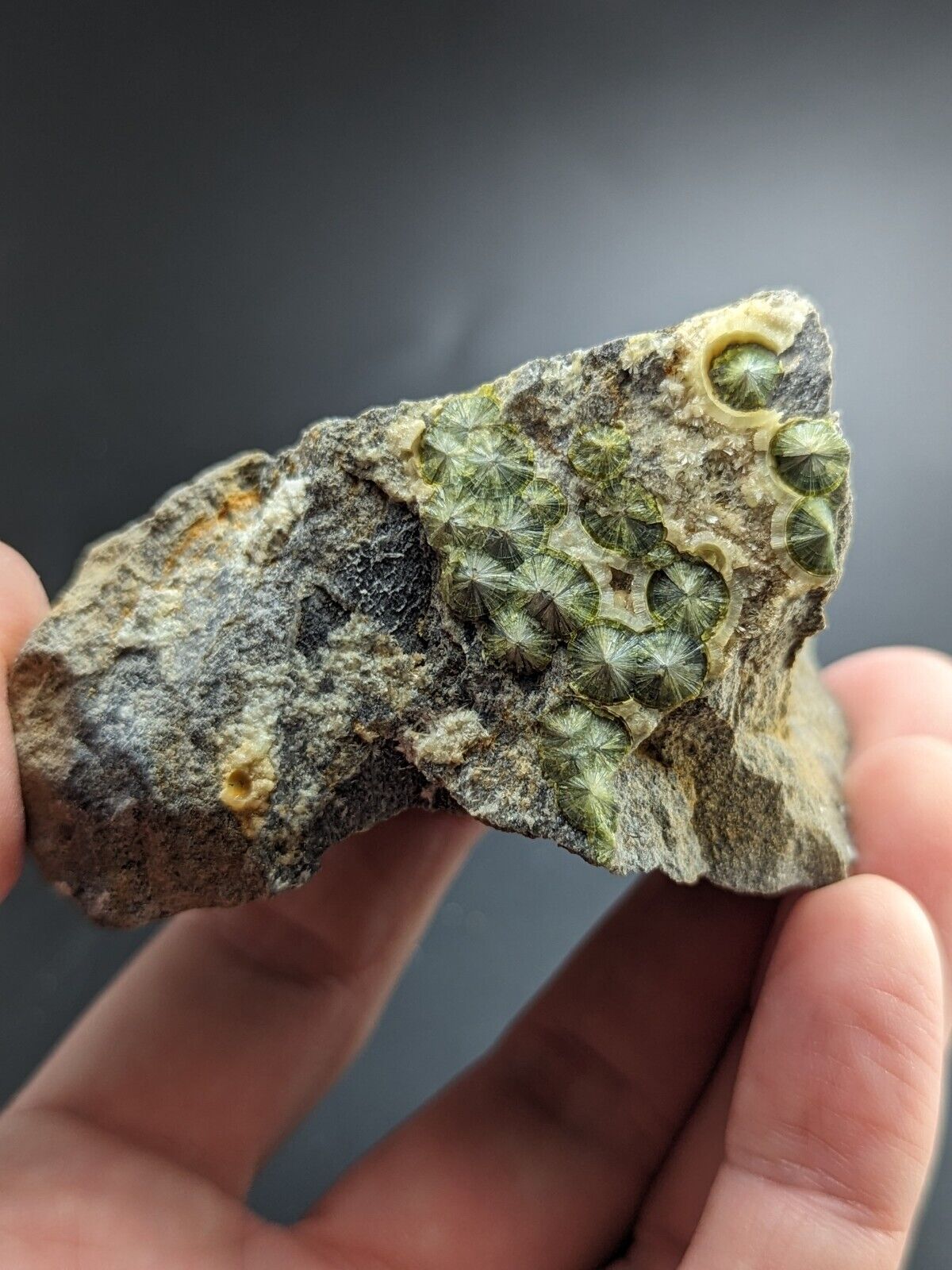 UV Reactive Wavellite -Old Stock - Mauldin Mountain Arkansas Amazing Eye Forms - Collectibles:Rocks Fossils &