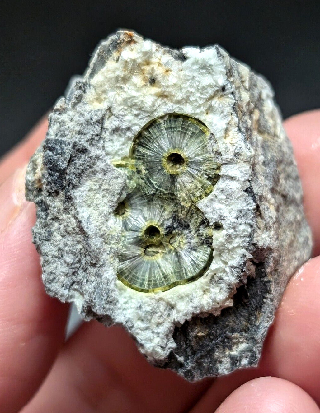 UV Reactive Wavellite -Old Stock - Mauldin Mountain Arkansas Amazing Eye Forms - Collectibles:Rocks Fossils &