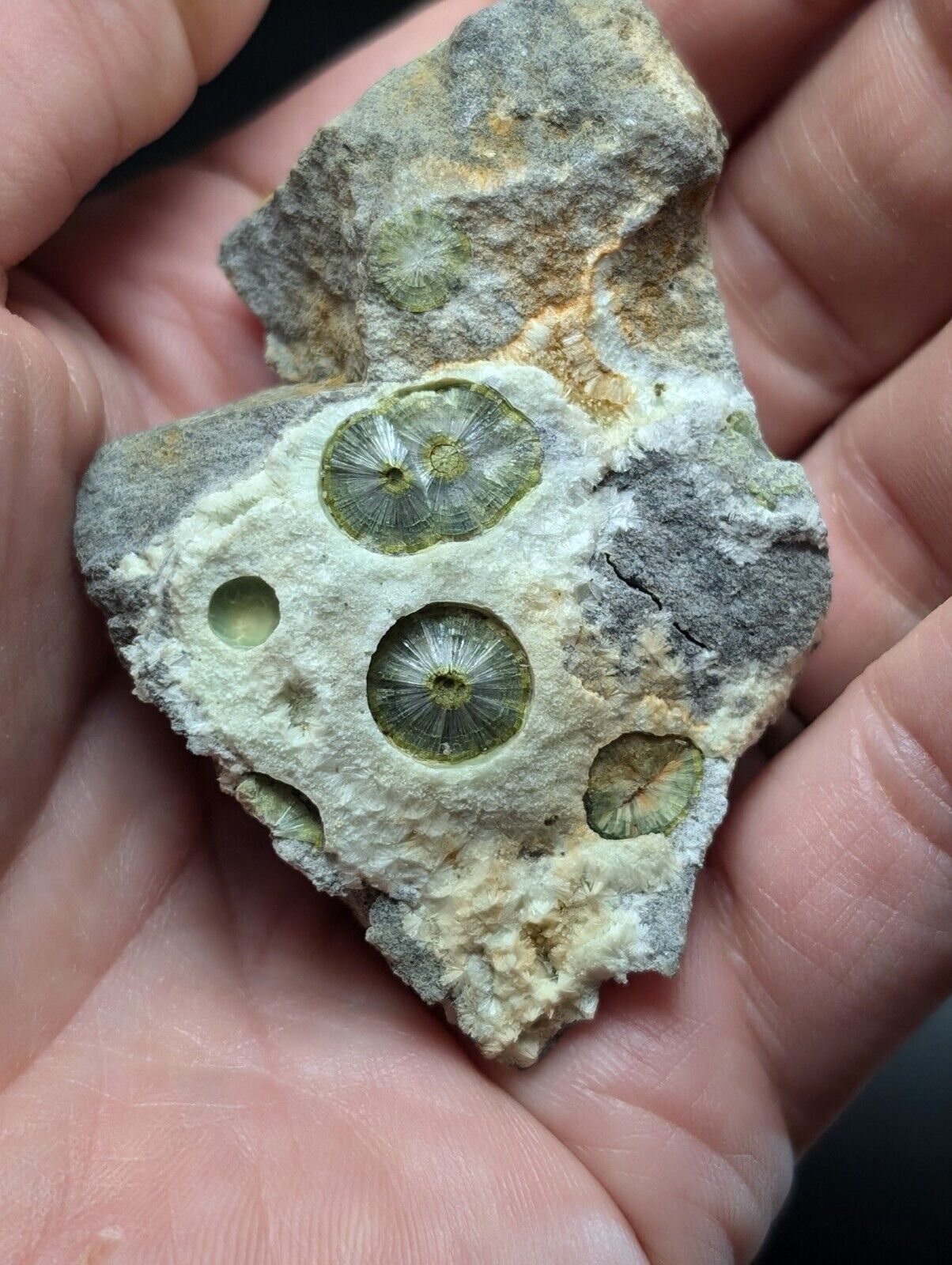 UV Reactive Wavellite -Old Stock - Mauldin Mountain Arkansas Amazing Eye Forms - Collectibles:Rocks Fossils &
