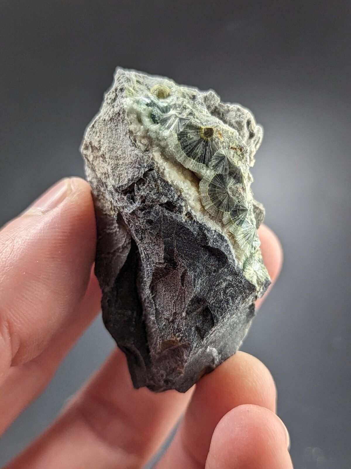 UV Reactive Wavellite -Old Stock - Mauldin Mountain Arkansas Amazing Eye Forms - Collectibles:Rocks Fossils &