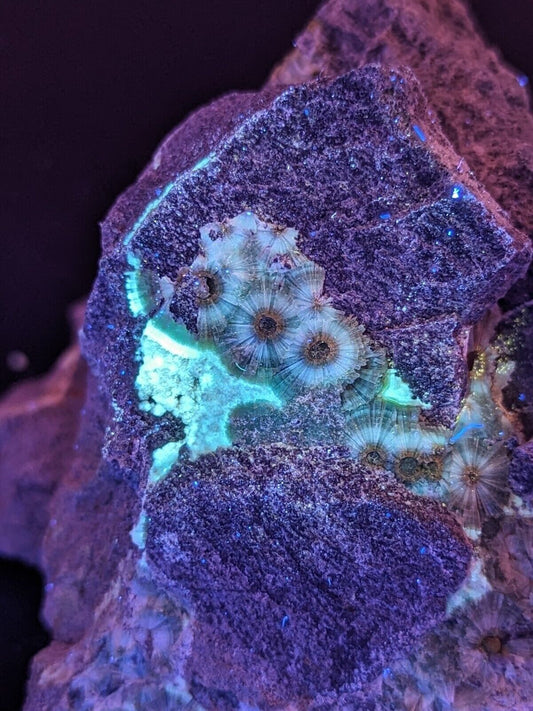 UV Reactive Wavellite -Old Stock - Mauldin Mountain Arkansas Amazing Eye Forms - Collectibles:Rocks Fossils &
