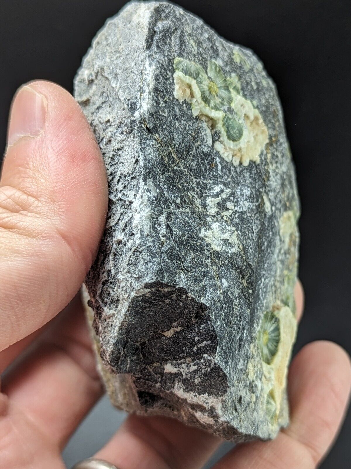 UV Reactive Wavellite -Old Stock - Mauldin Mountain Arkansas Amazing Eye Forms - Collectibles:Rocks Fossils &
