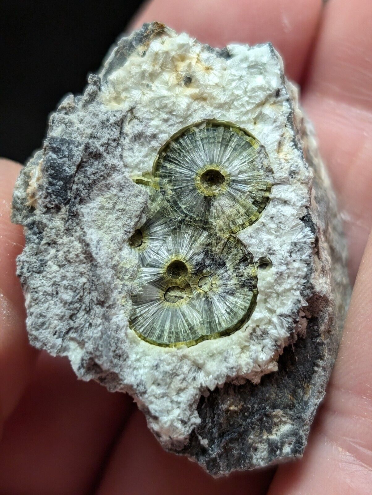 UV Reactive Wavellite -Old Stock - Mauldin Mountain Arkansas Amazing Eye Forms - Collectibles:Rocks Fossils &