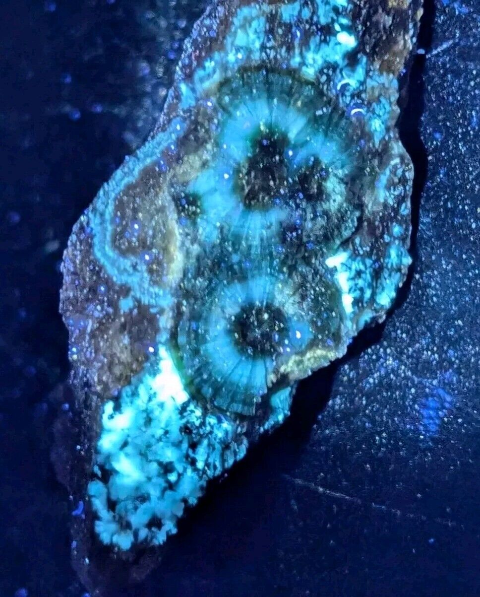 UV Reactive Wavellite -Old Stock - Mauldin Mountain Arkansas Amazing Eye Forms - Collectibles:Rocks Fossils &