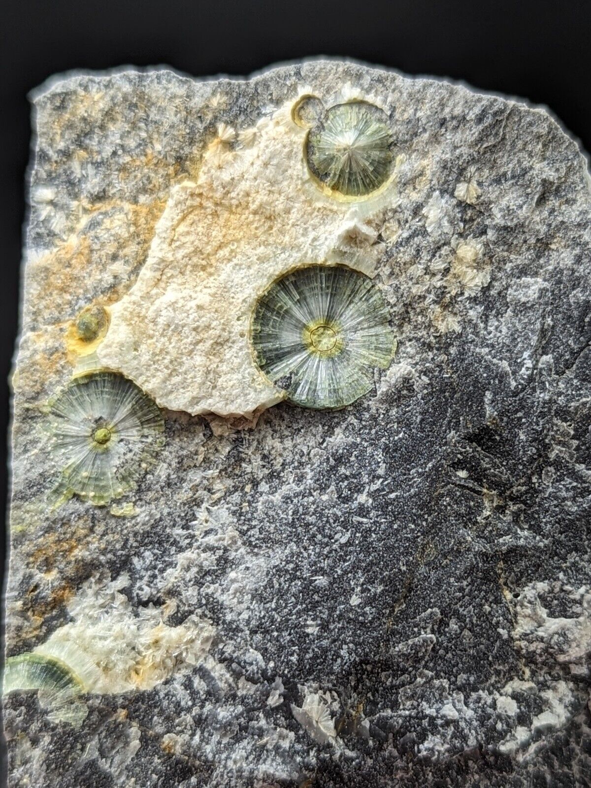 UV Reactive Wavellite -Old Stock - Mauldin Mountain Arkansas Amazing Eye Forms - Collectibles:Rocks Fossils &
