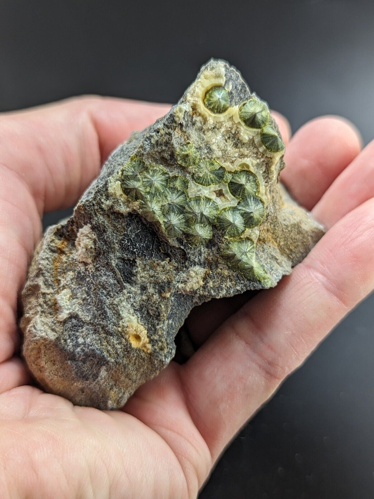 UV Reactive Wavellite -Old Stock - Mauldin Mountain Arkansas Amazing Eye Forms - Collectibles:Rocks Fossils &