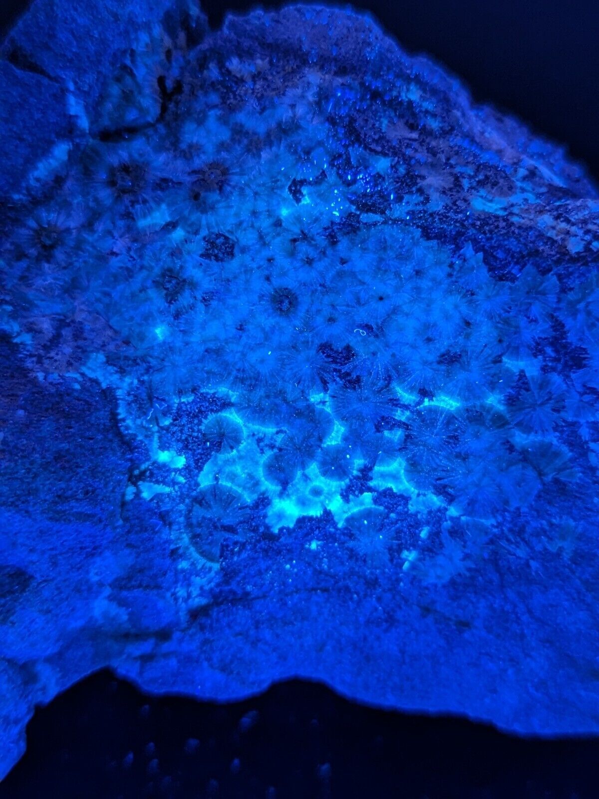 UV Reactive Wavellite -Old Stock - Mauldin Mountain Arkansas Amazing Eye Forms - Collectibles:Rocks Fossils &