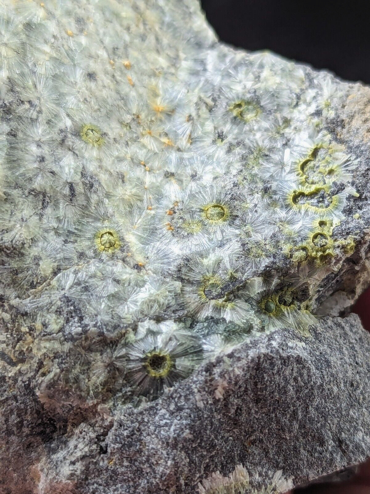 UV Reactive Wavellite -Old Stock - Mauldin Mountain Arkansas Amazing Eye Forms - Collectibles:Rocks Fossils &