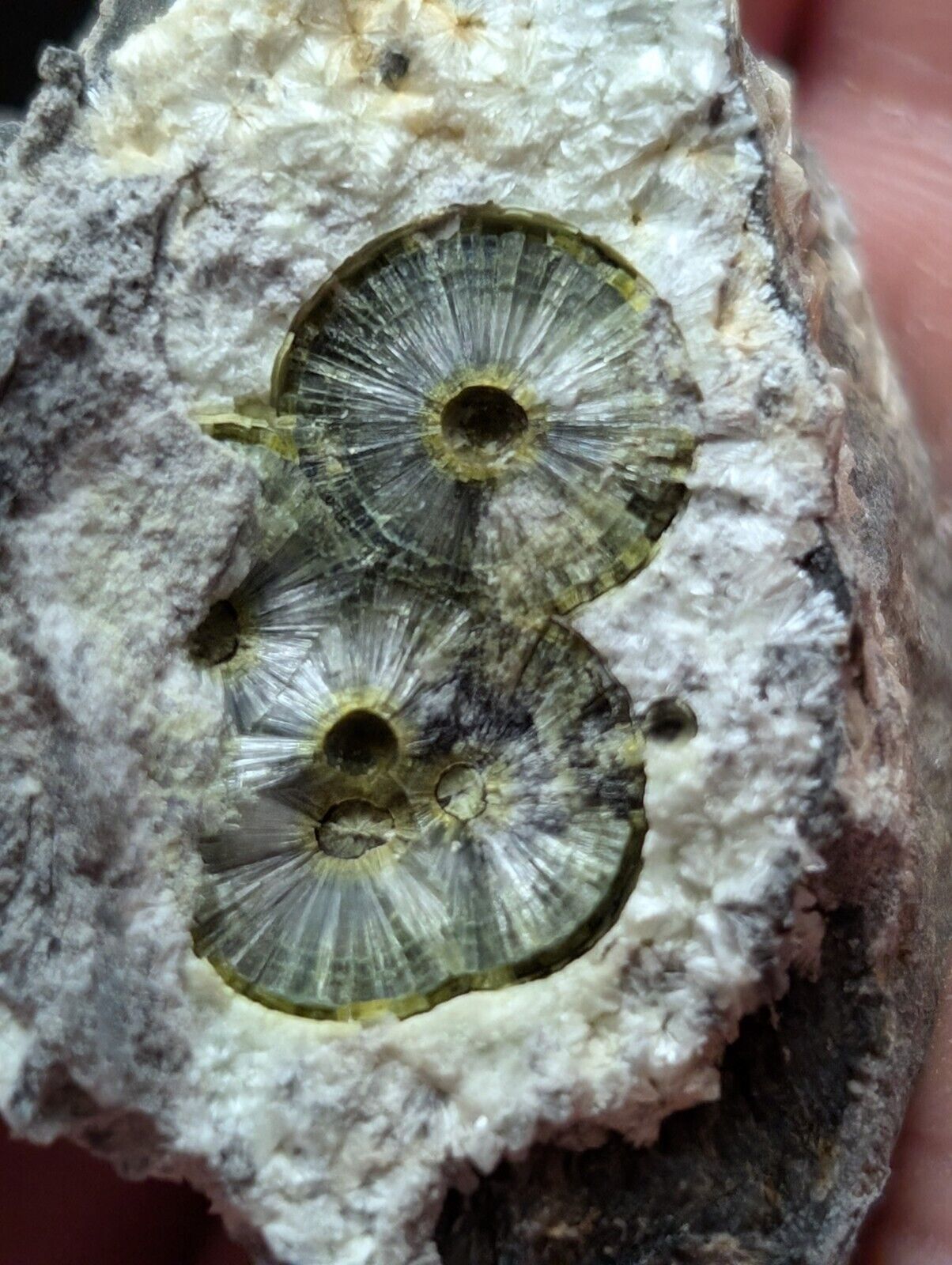 UV Reactive Wavellite -Old Stock - Mauldin Mountain Arkansas Amazing Eye Forms - Collectibles:Rocks Fossils &