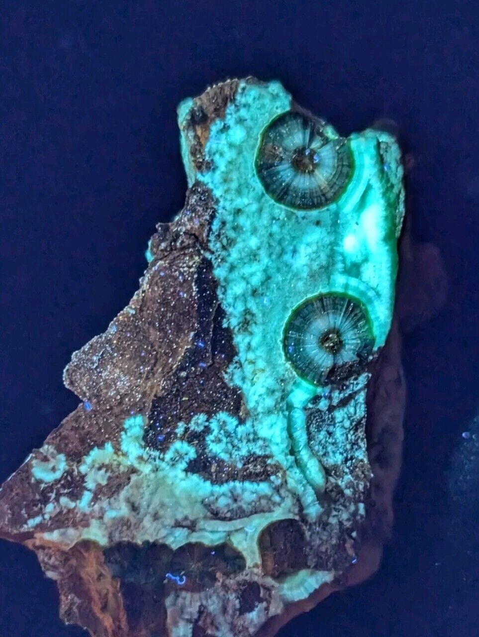 UV Reactive Wavellite -Old Stock - Mauldin Mountain Arkansas Amazing Eye Forms - Collectibles:Rocks Fossils &