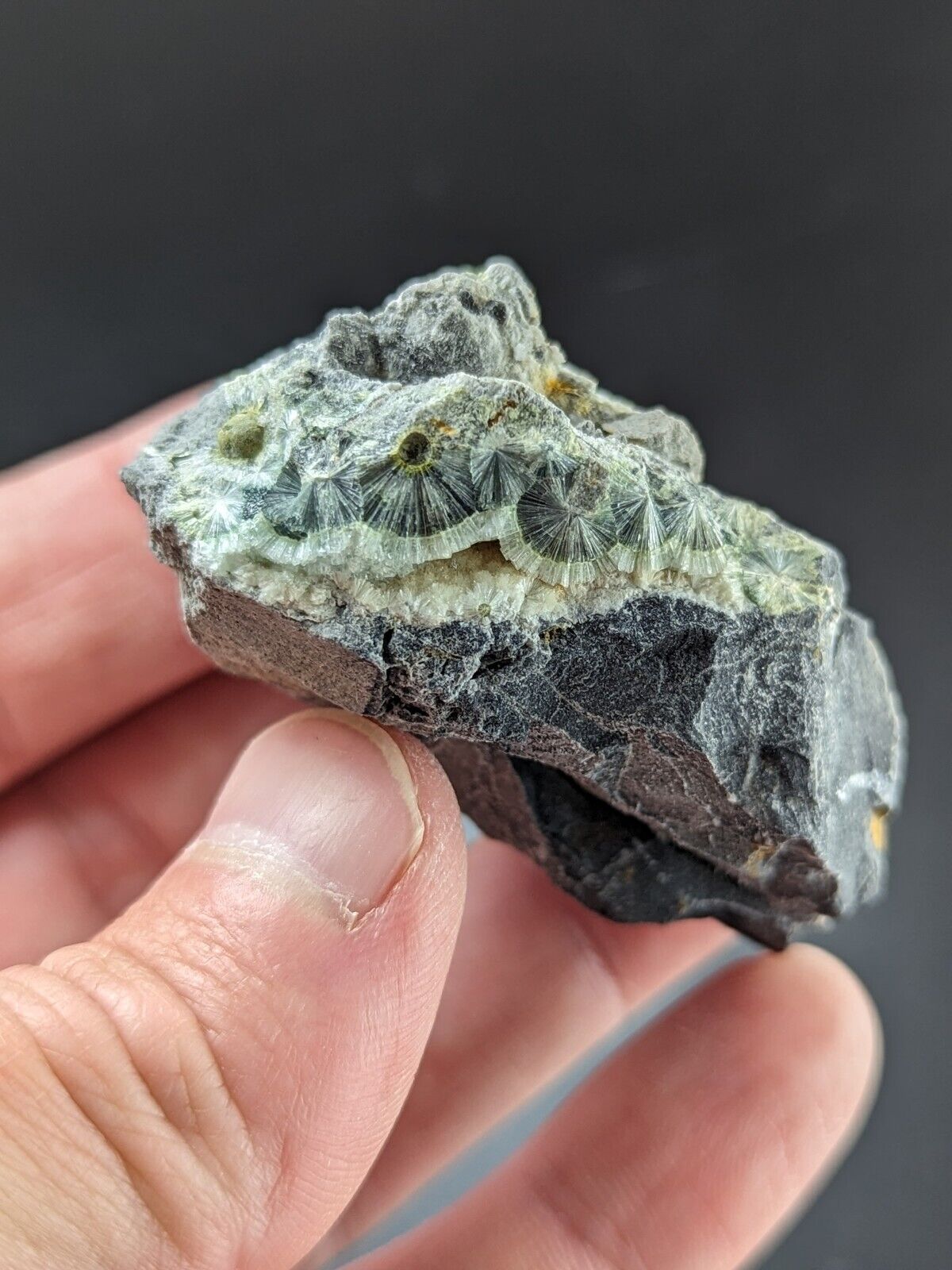 UV Reactive Wavellite -Old Stock - Mauldin Mountain Arkansas Amazing Eye Forms - Collectibles:Rocks Fossils &
