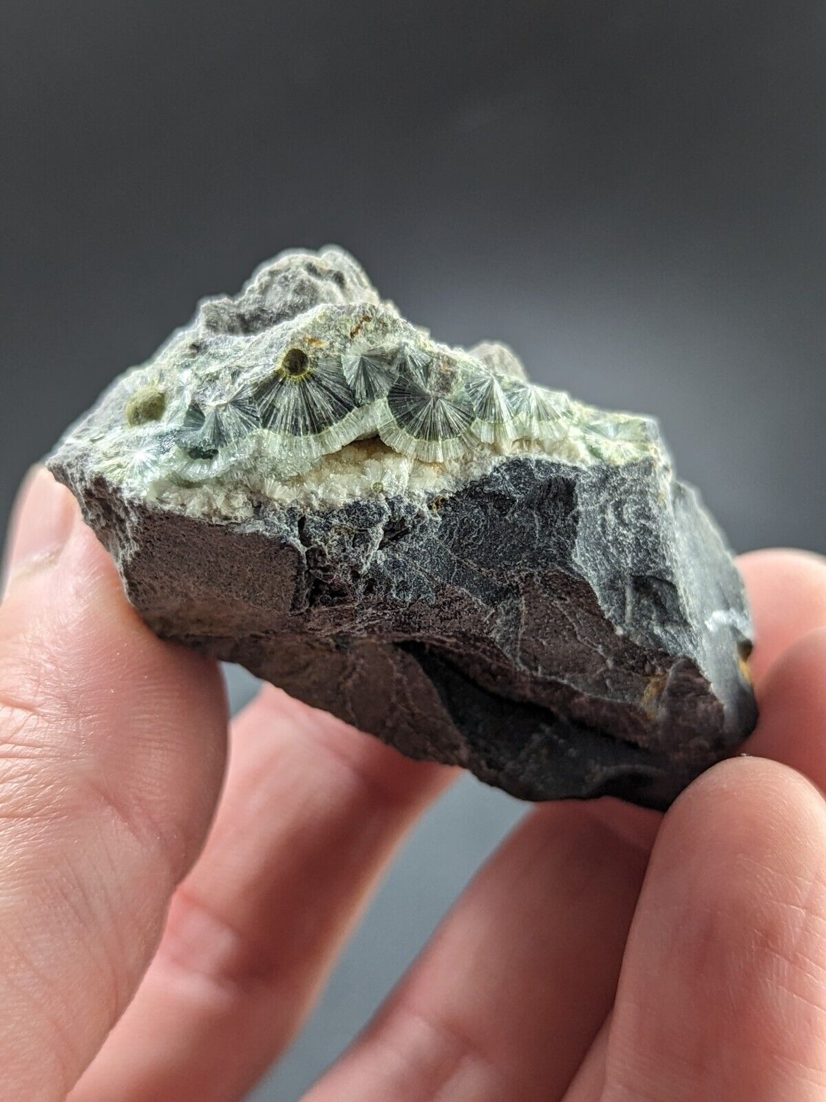 UV Reactive Wavellite -Old Stock - Mauldin Mountain Arkansas Amazing Eye Forms - Collectibles:Rocks Fossils &