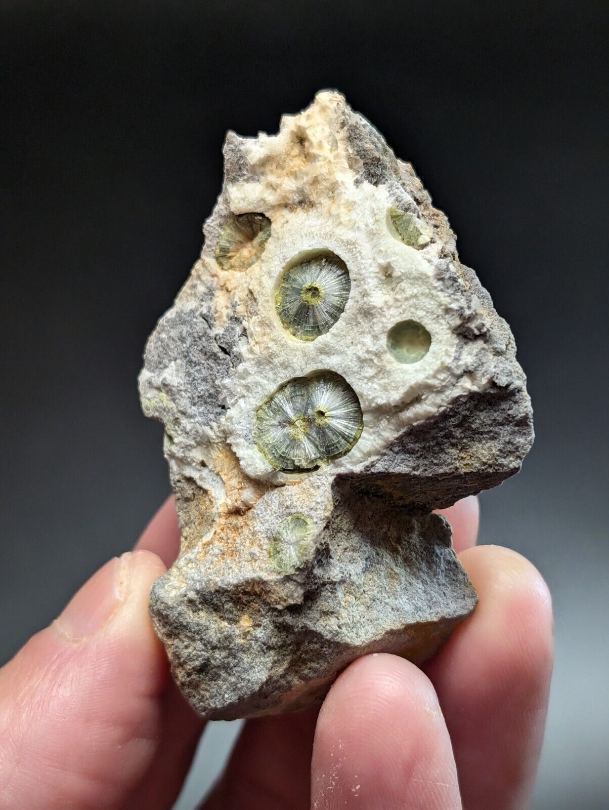 UV Reactive Wavellite -Old Stock - Mauldin Mountain Arkansas Amazing Eye Forms - Collectibles:Rocks Fossils &