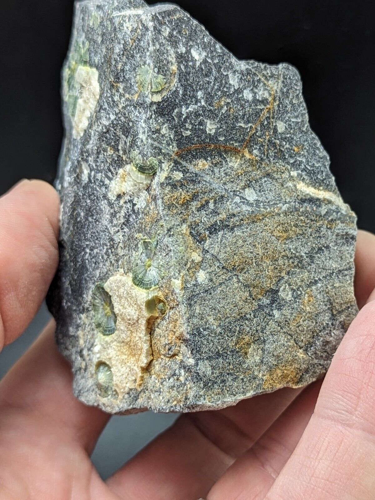 UV Reactive Wavellite -Old Stock - Mauldin Mountain Arkansas Amazing Eye Forms - Collectibles:Rocks Fossils &