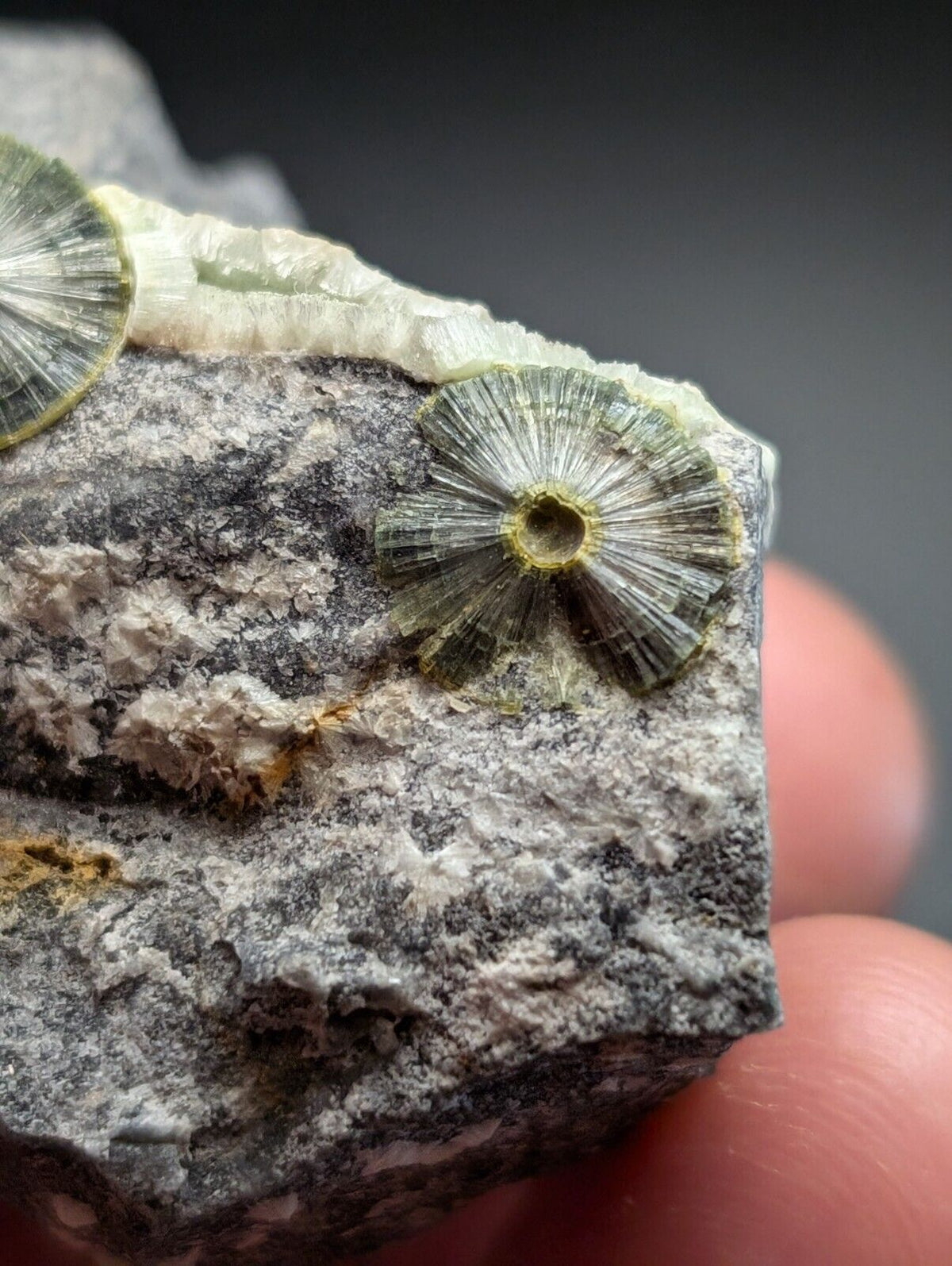 UV Reactive Wavellite -Old Stock - Mauldin Mountain Arkansas Amazing Eye Forms - Collectibles:Rocks Fossils &