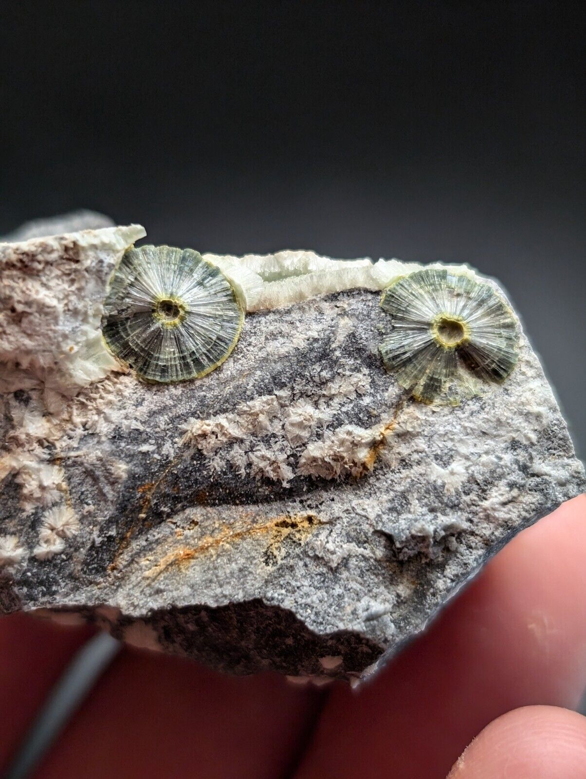 UV Reactive Wavellite -Old Stock - Mauldin Mountain Arkansas Amazing Eye Forms - Collectibles:Rocks Fossils &