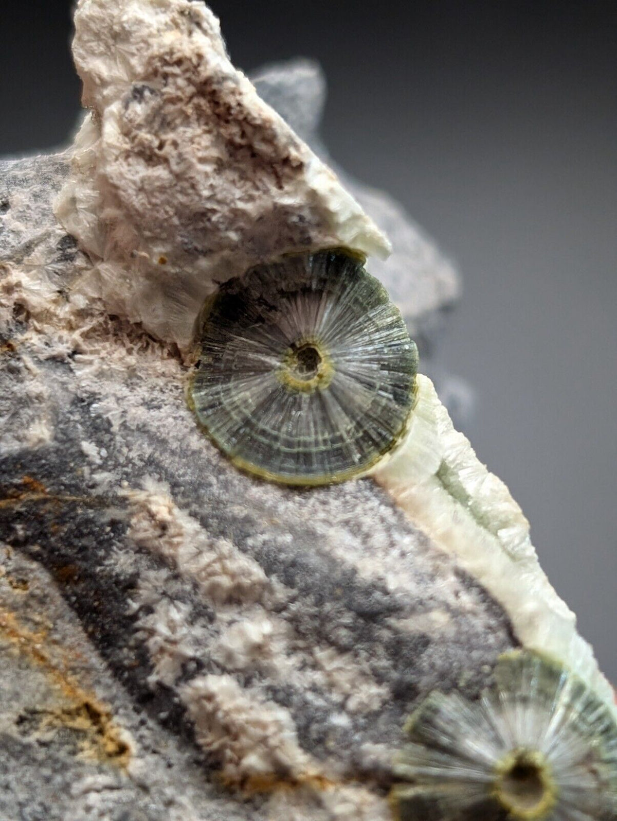UV Reactive Wavellite -Old Stock - Mauldin Mountain Arkansas Amazing Eye Forms - Collectibles:Rocks Fossils &