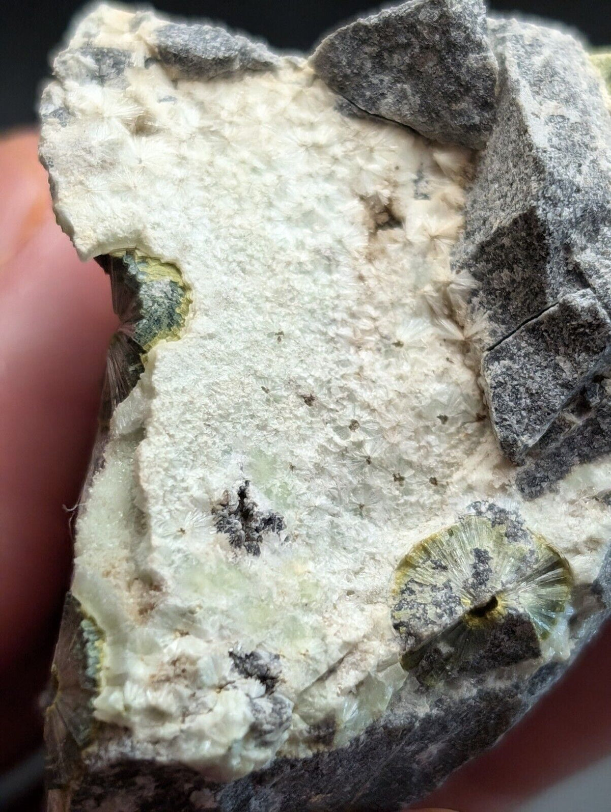 UV Reactive Wavellite -Old Stock - Mauldin Mountain Arkansas Amazing Eye Forms - Collectibles:Rocks Fossils &