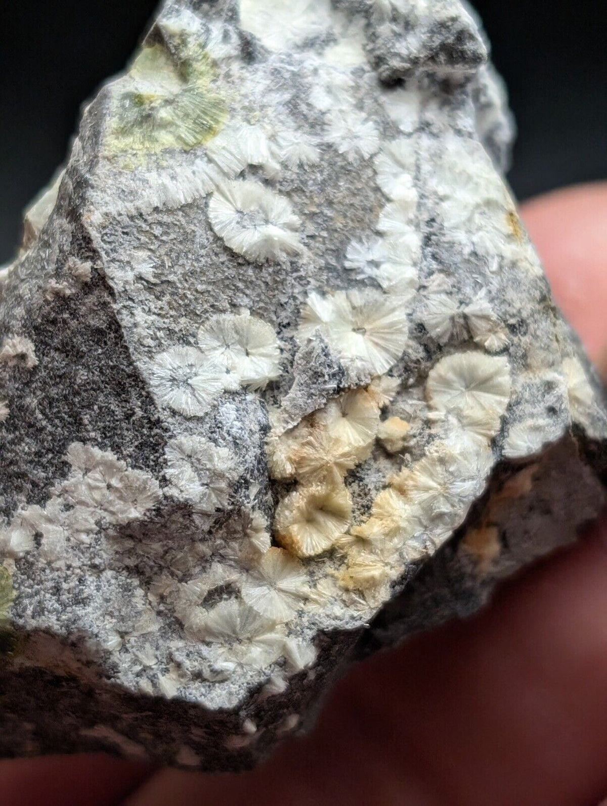 UV Reactive Wavellite -Old Stock - Mauldin Mountain Arkansas Amazing Eye Forms - Collectibles:Rocks Fossils &
