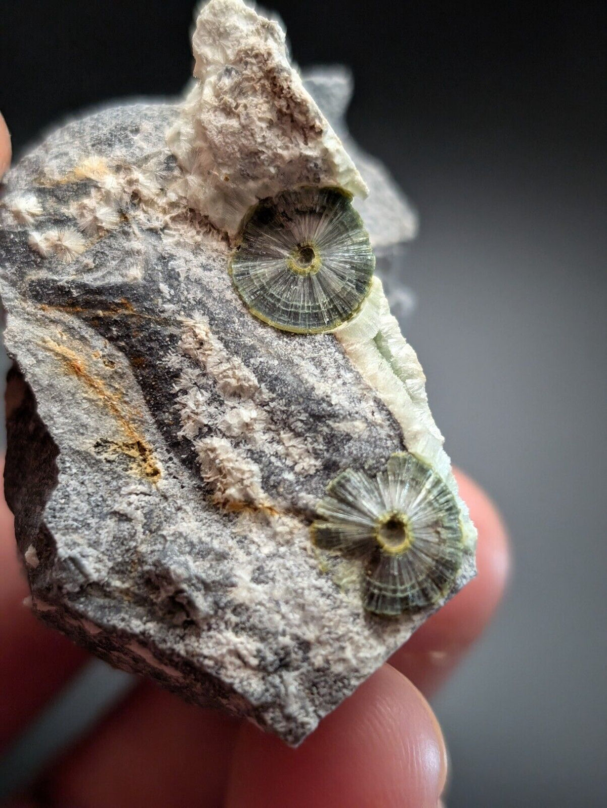 UV Reactive Wavellite -Old Stock - Mauldin Mountain Arkansas Amazing Eye Forms - Collectibles:Rocks Fossils &