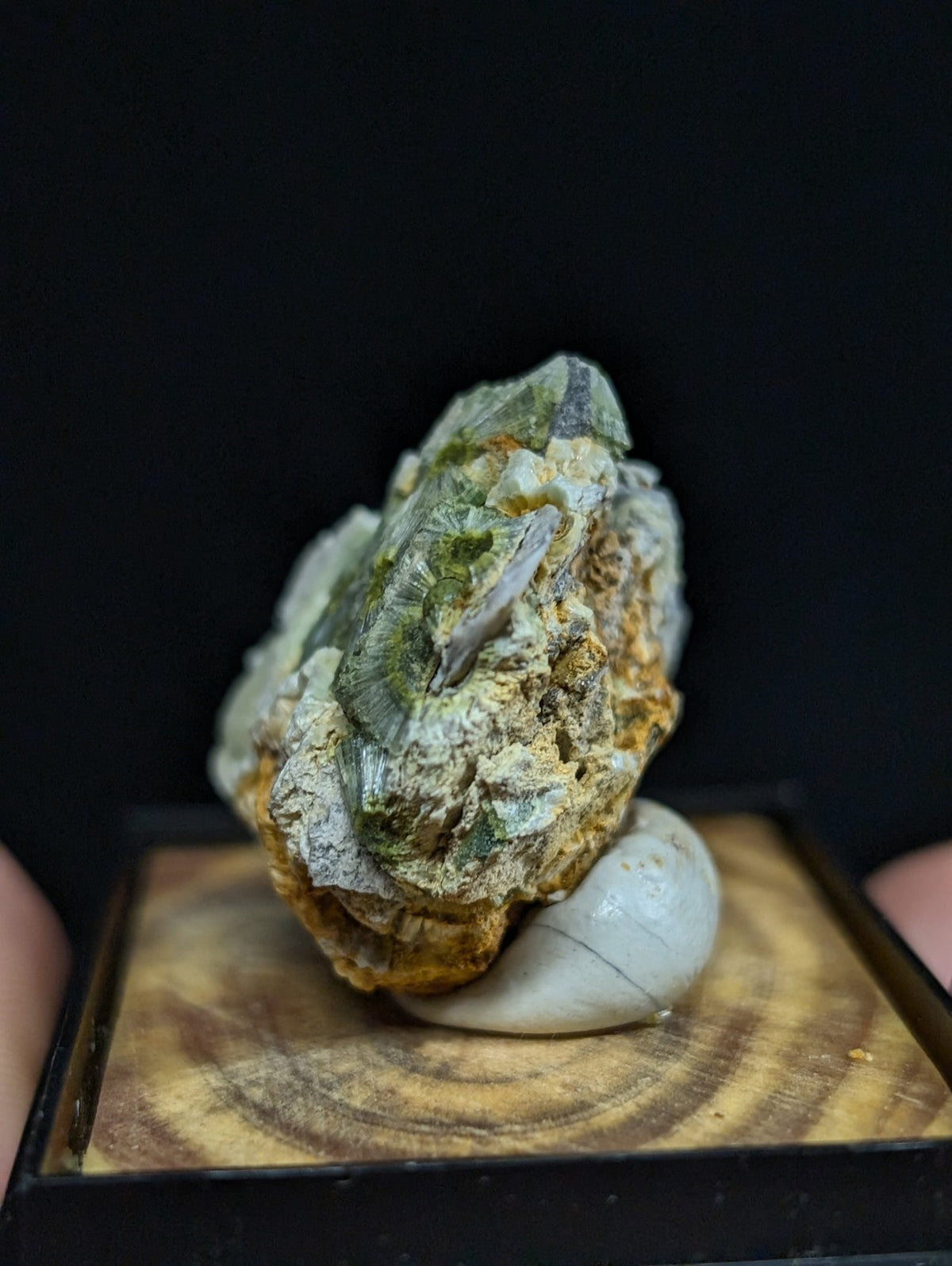 A textured, greenish-yellow mineral specimen with a rough, layered surface and embedded crystalline formations rests on a smooth white stone within a wooden display base.
