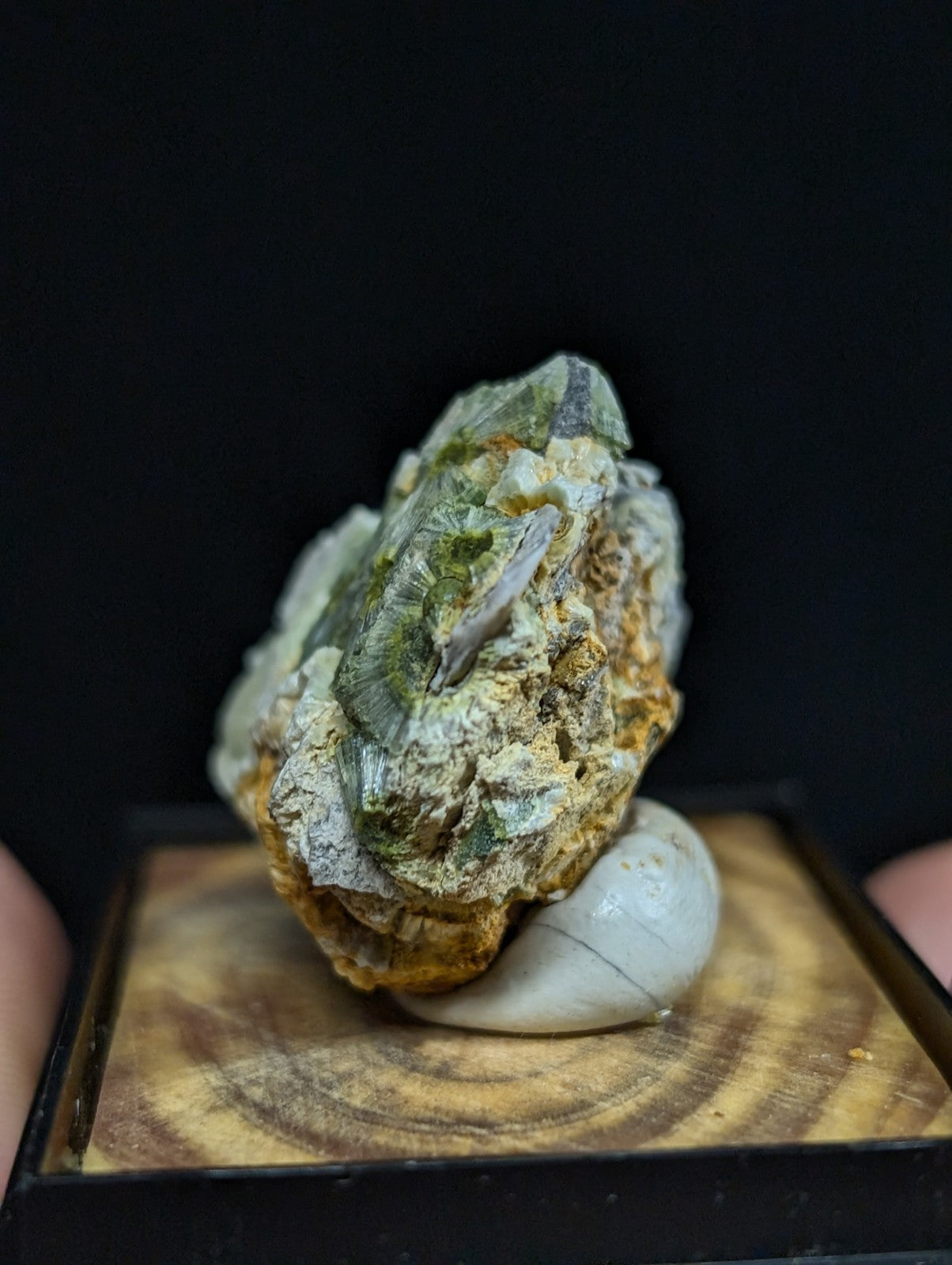 A textured, greenish-yellow mineral specimen with a rough, layered surface and embedded crystalline formations rests on a smooth white stone within a wooden display base.