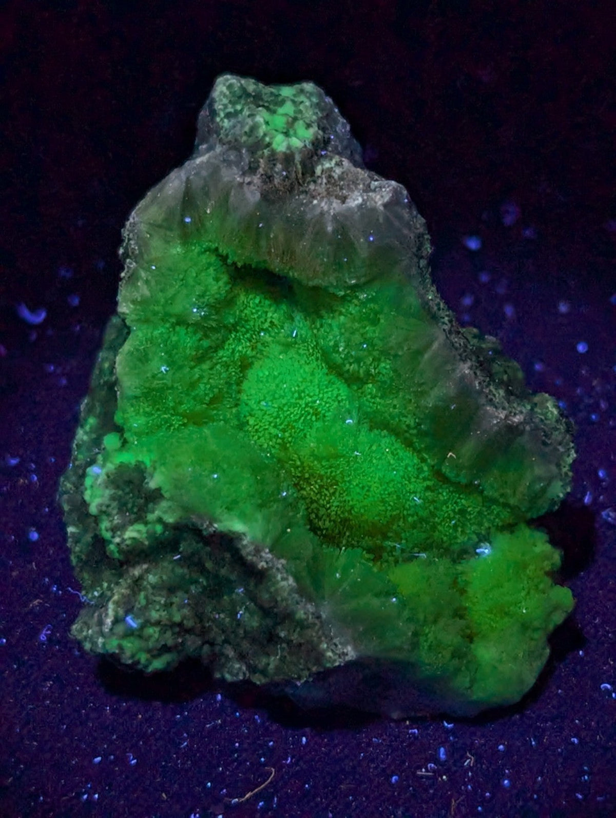 A vibrant green fluorescent mineral specimen with crystalline formations and a rough, earthy exterior.