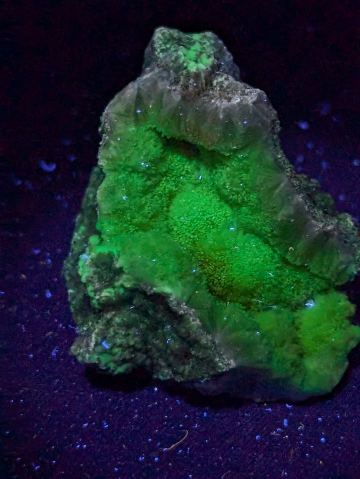 A vibrant green fluorescent mineral specimen with crystalline formations and a rough, earthy exterior.