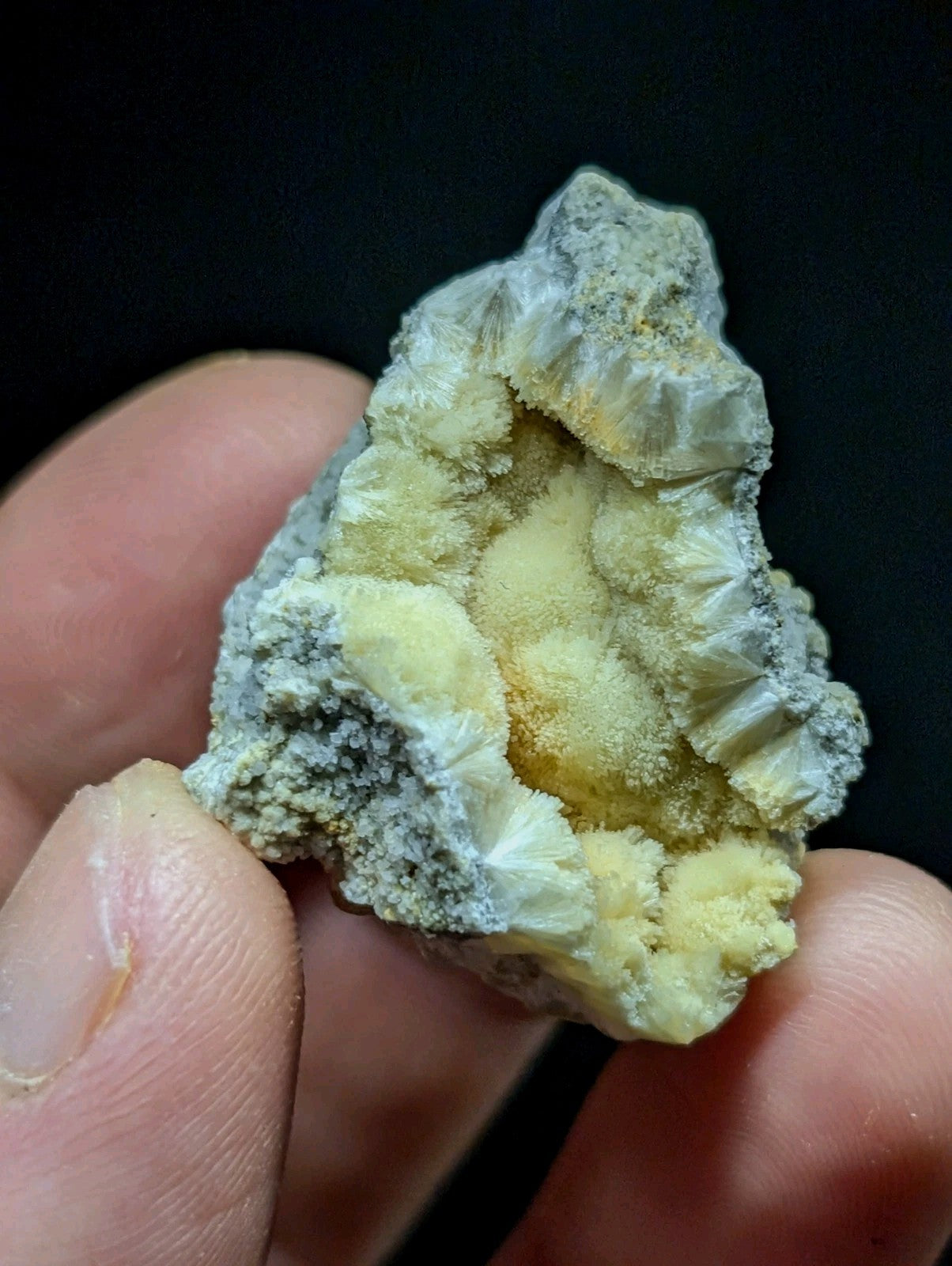 A hand holds a natural mineral specimen featuring intricate, crystalline formations with pale yellow and grayish-white hues.