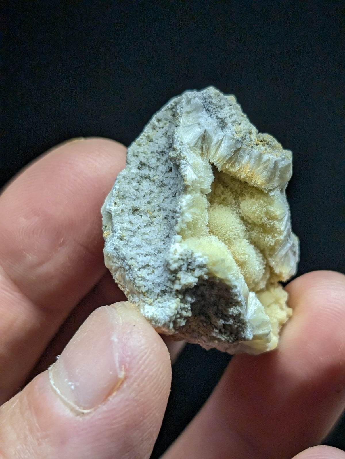 A hand holds a natural mineral specimen featuring gray and creamy yellow crystalline formations with textured, layered surfaces.