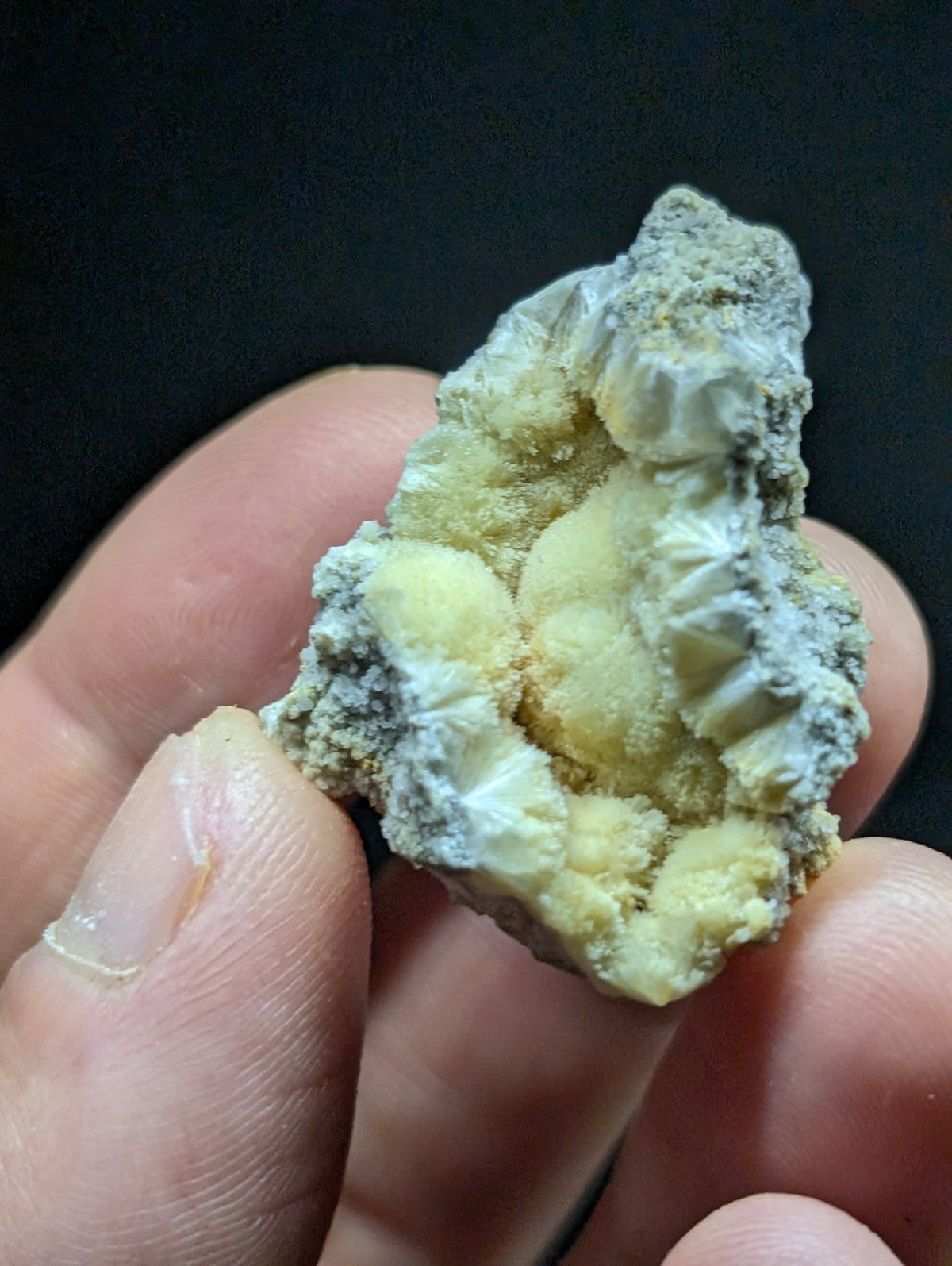 A hand holds a pale yellow and gray mineral specimen with intricate, clustered crystalline formations.
