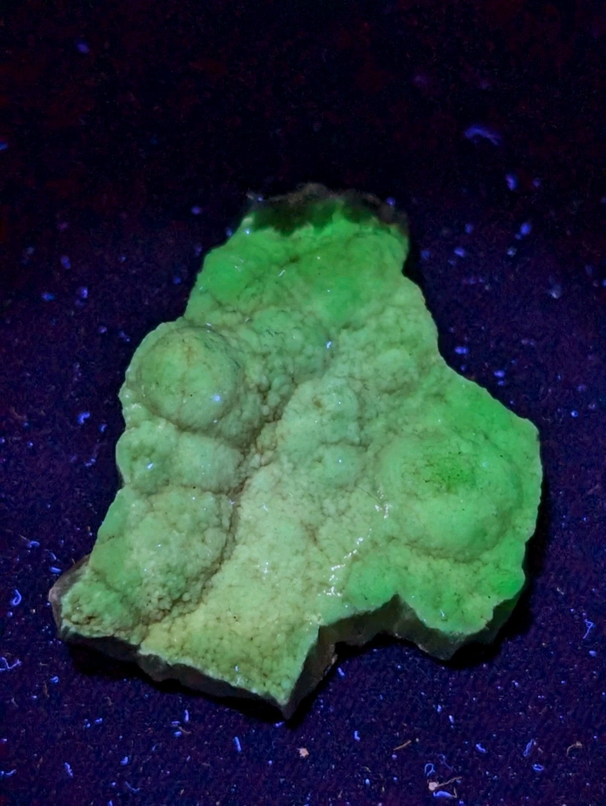 A vibrant green fluorescent mineral specimen with a rough, textured surface and rounded nodules.