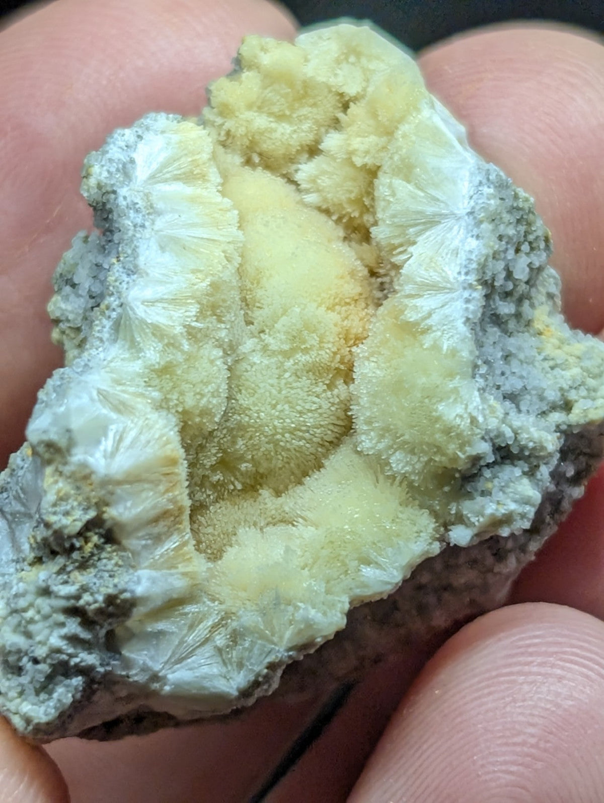 A hand holds a geode with intricate, pale yellow and white crystalline formations emerging from a grayish matrix.