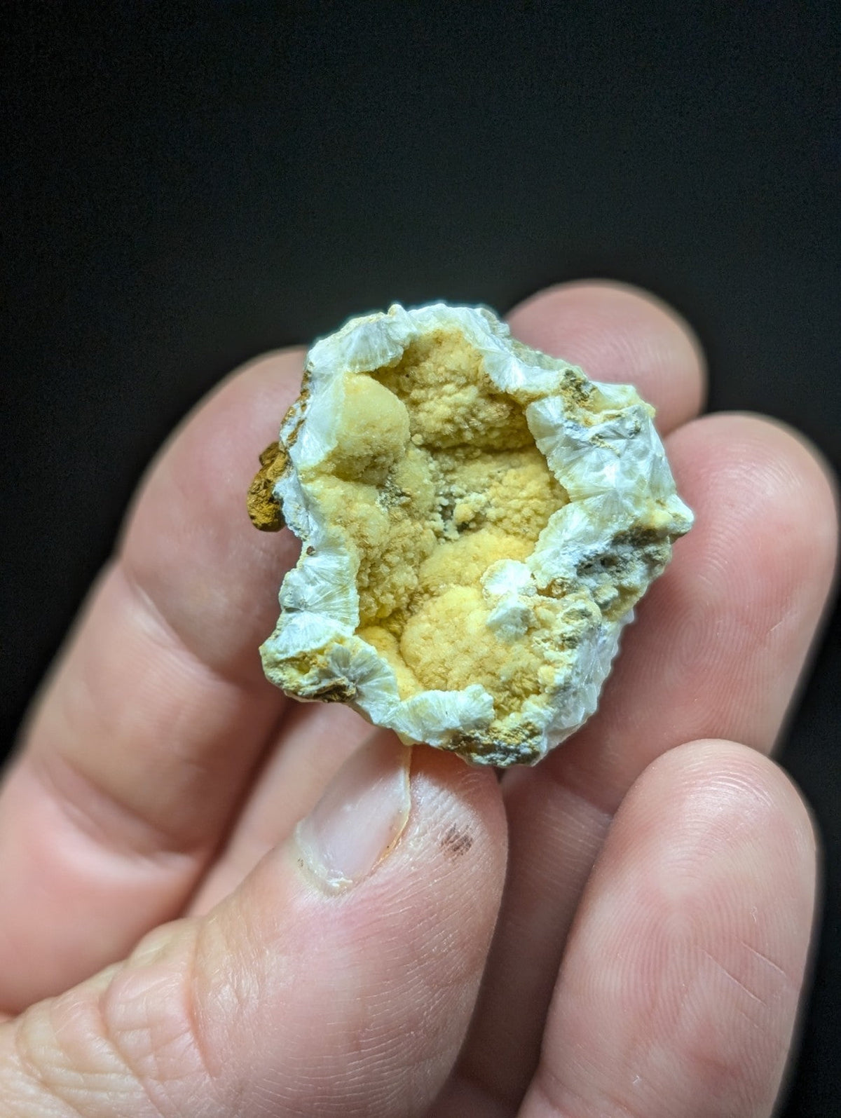 A hand holds a small, irregularly shaped geode with a pale greenish-white outer shell and vibrant yellow crystalline interior.