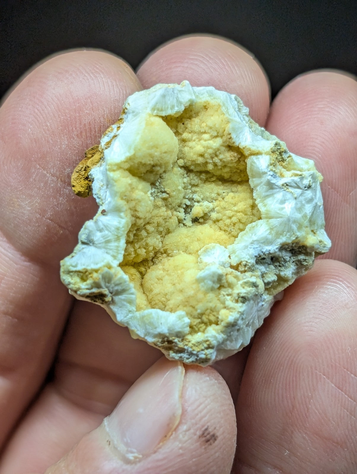 A hand holds a geode with a pale, crystalline outer shell and vibrant yellow interior crystals.