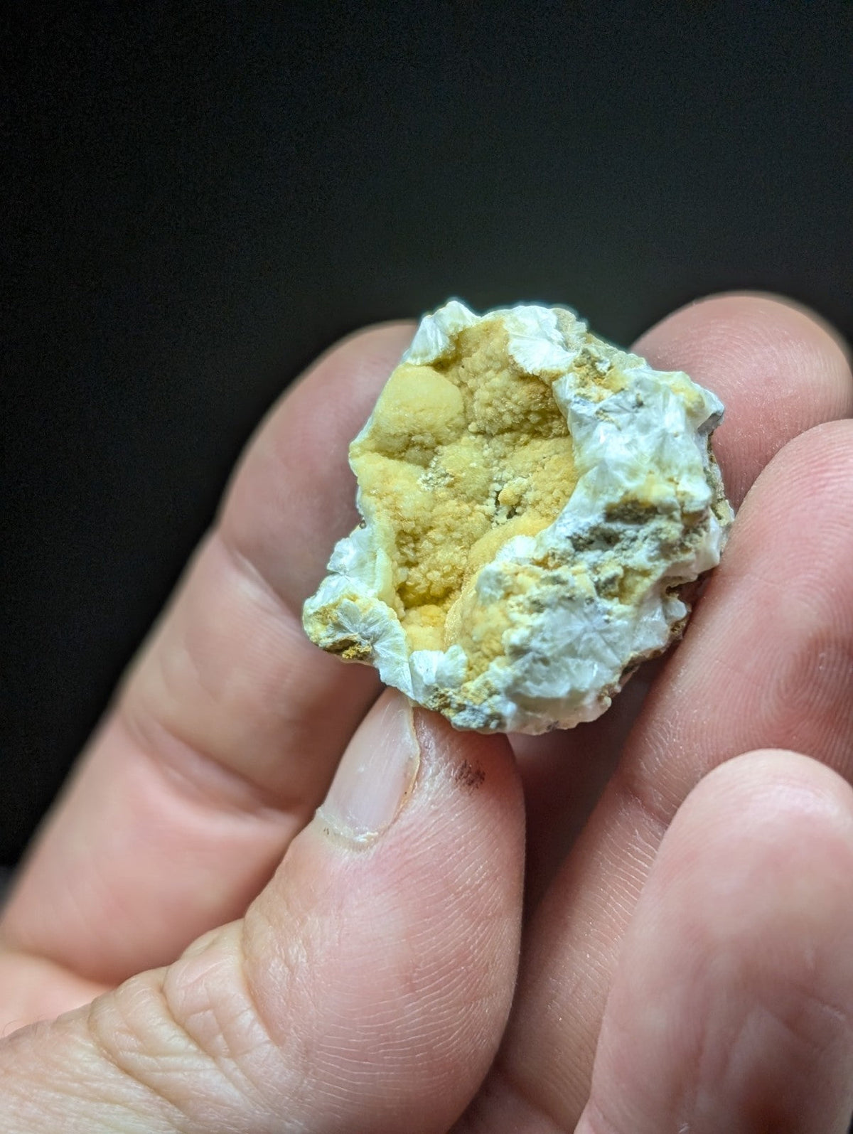 A hand holds a small, irregularly shaped mineral specimen featuring vibrant yellow crystalline formations embedded within a white, rocky matrix.