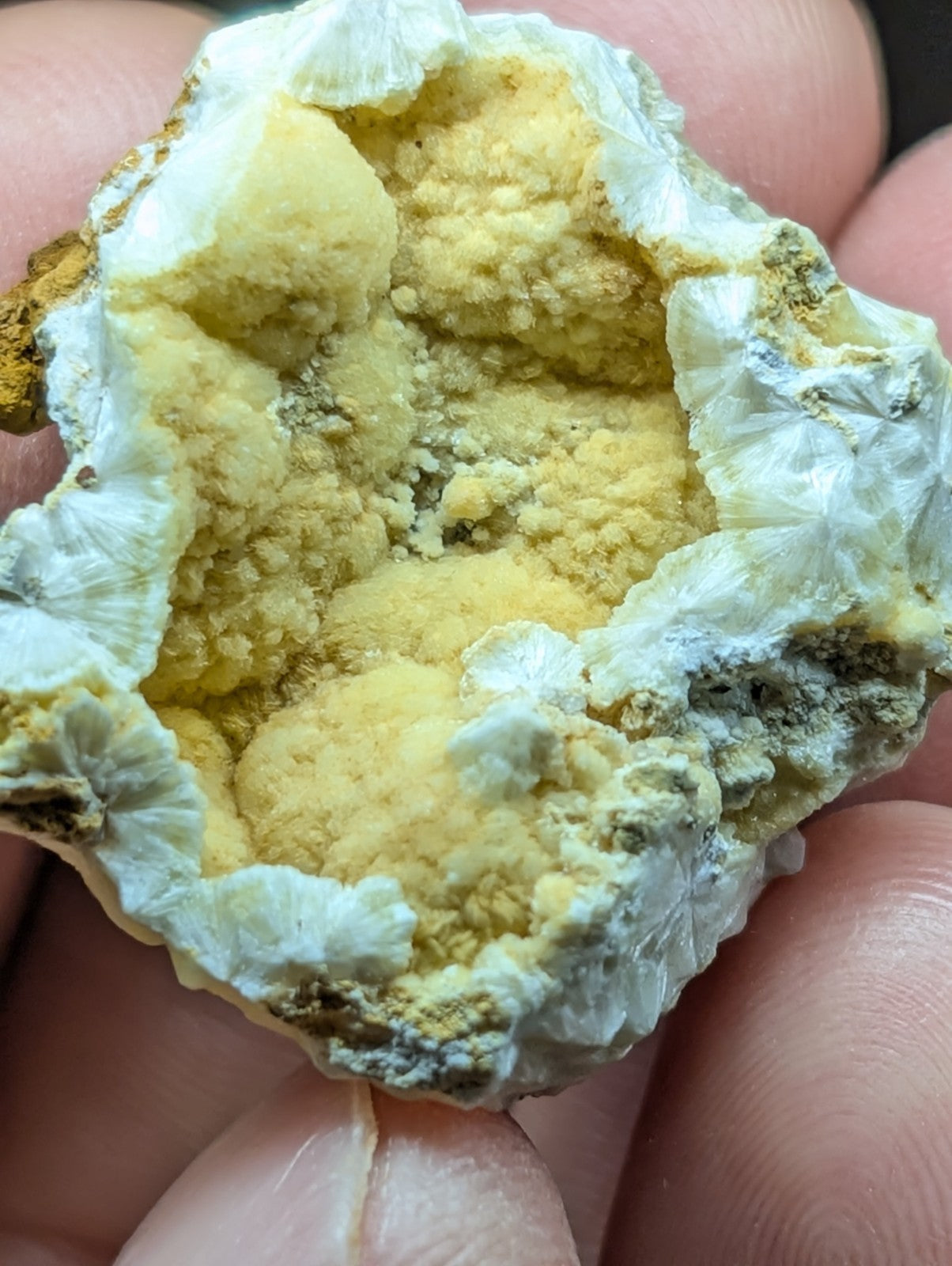A hand holds a geode with a white, crystalline outer shell and vibrant yellow interior crystals.