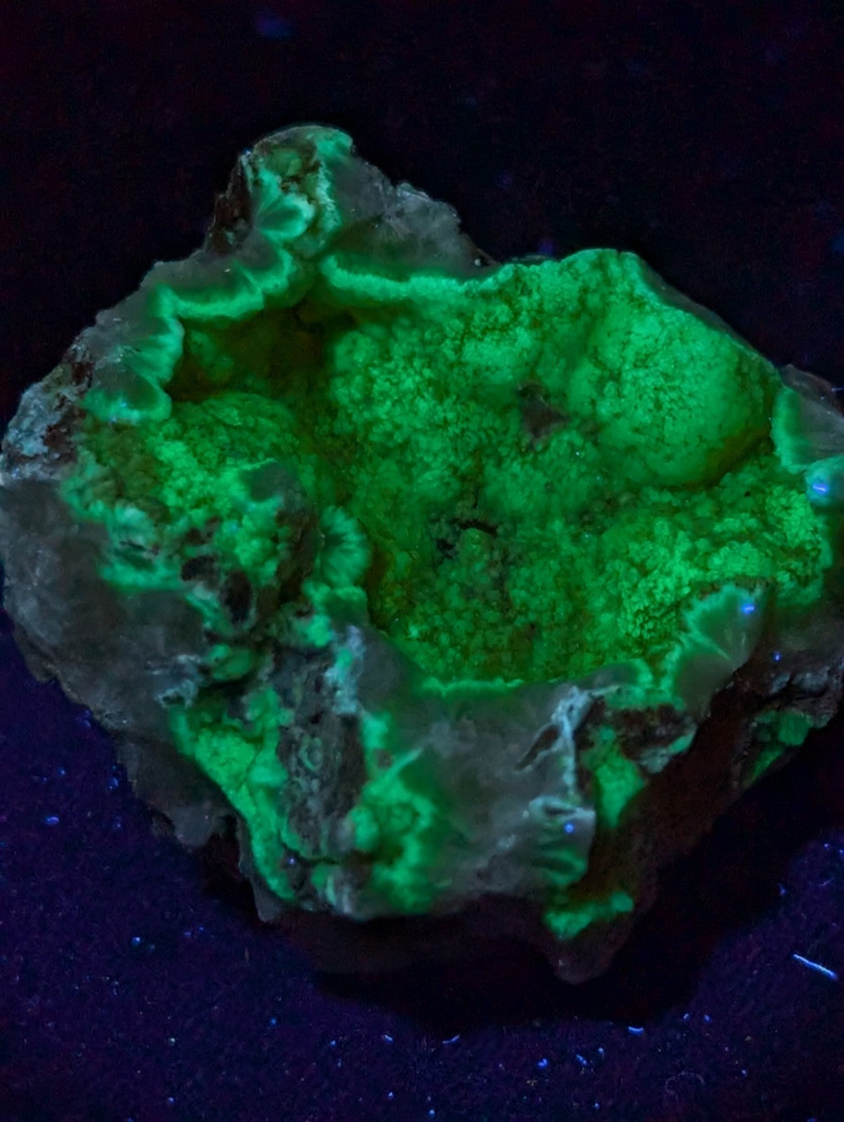 A glowing green fluorescent mineral specimen with a rough, irregular surface and embedded crystalline formations.