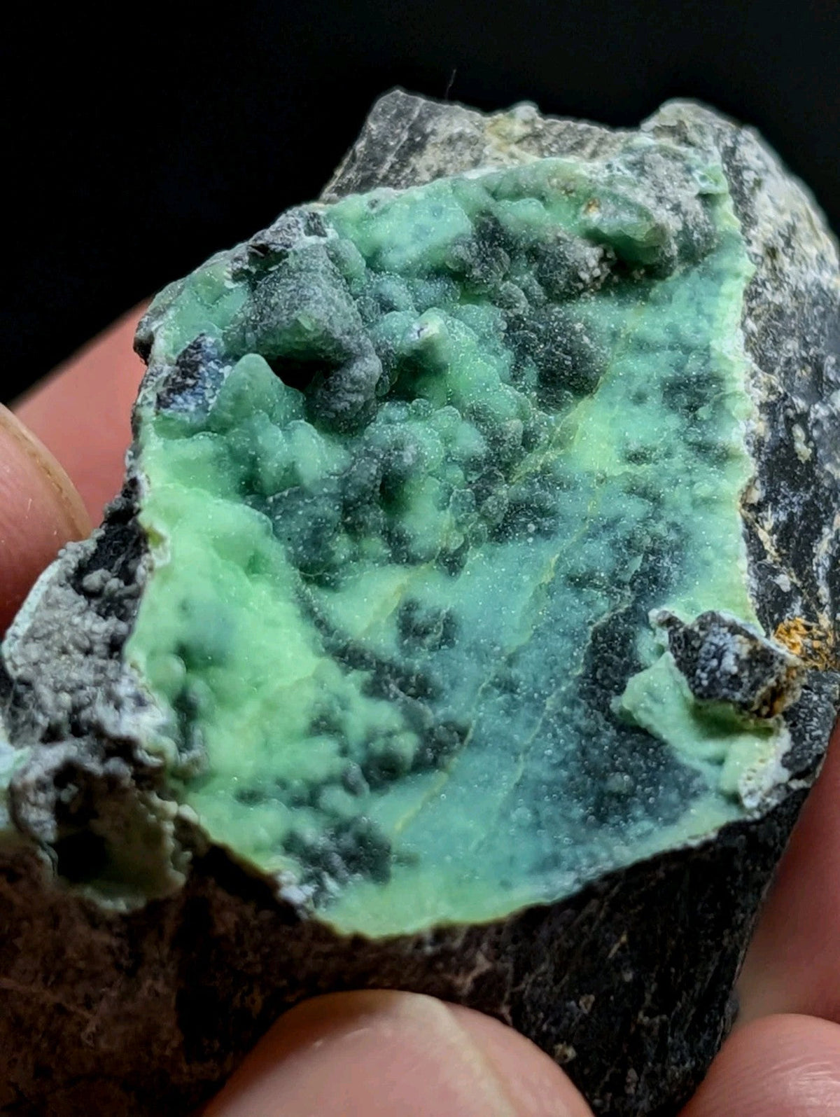 A vibrant green mineral specimen with a rough, textured surface and dark gray matrix.
