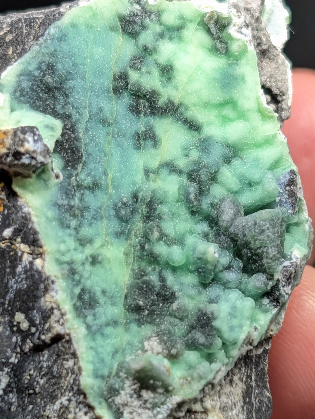 A vibrant green, textured mineral specimen with dark veining and a rough, natural surface.