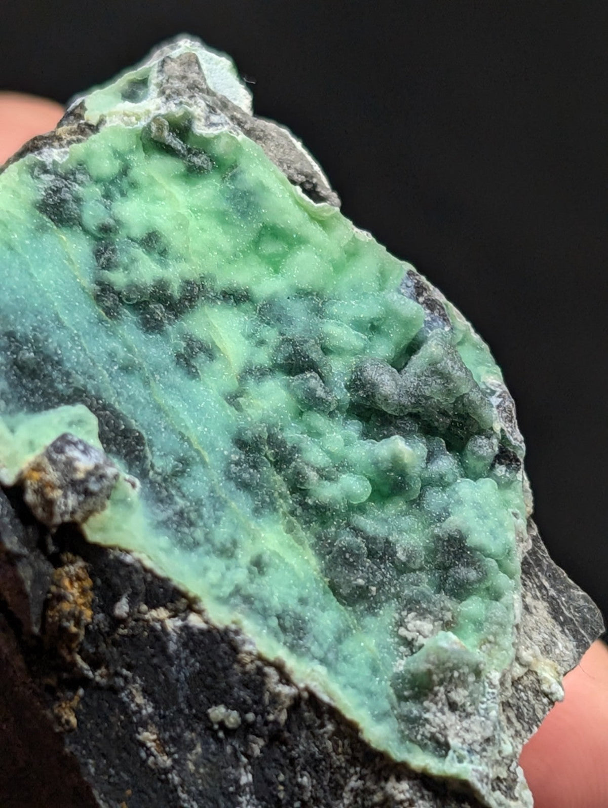 A vibrant green mineral specimen with a textured, crystalline surface embedded in dark rock.