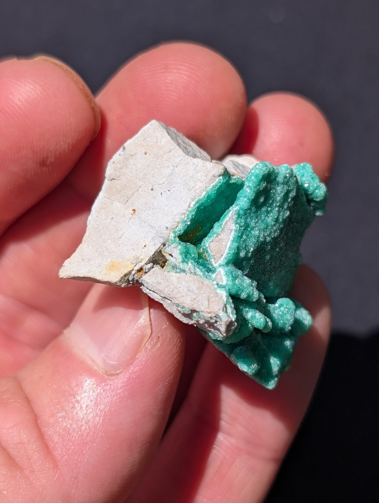 A hand holds a fragment of white ceramic with vibrant green mineral growths.