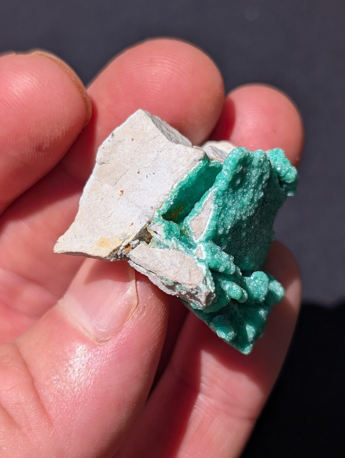 A hand holds a fragment of white ceramic with vibrant green mineral growths.