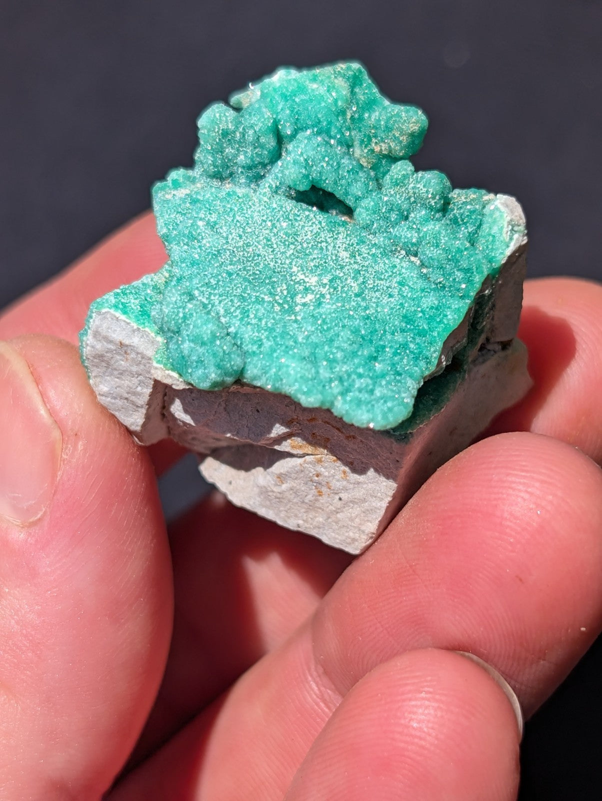 A vibrant turquoise-green mineral specimen with a crystalline, textured surface set against a light gray rock base.