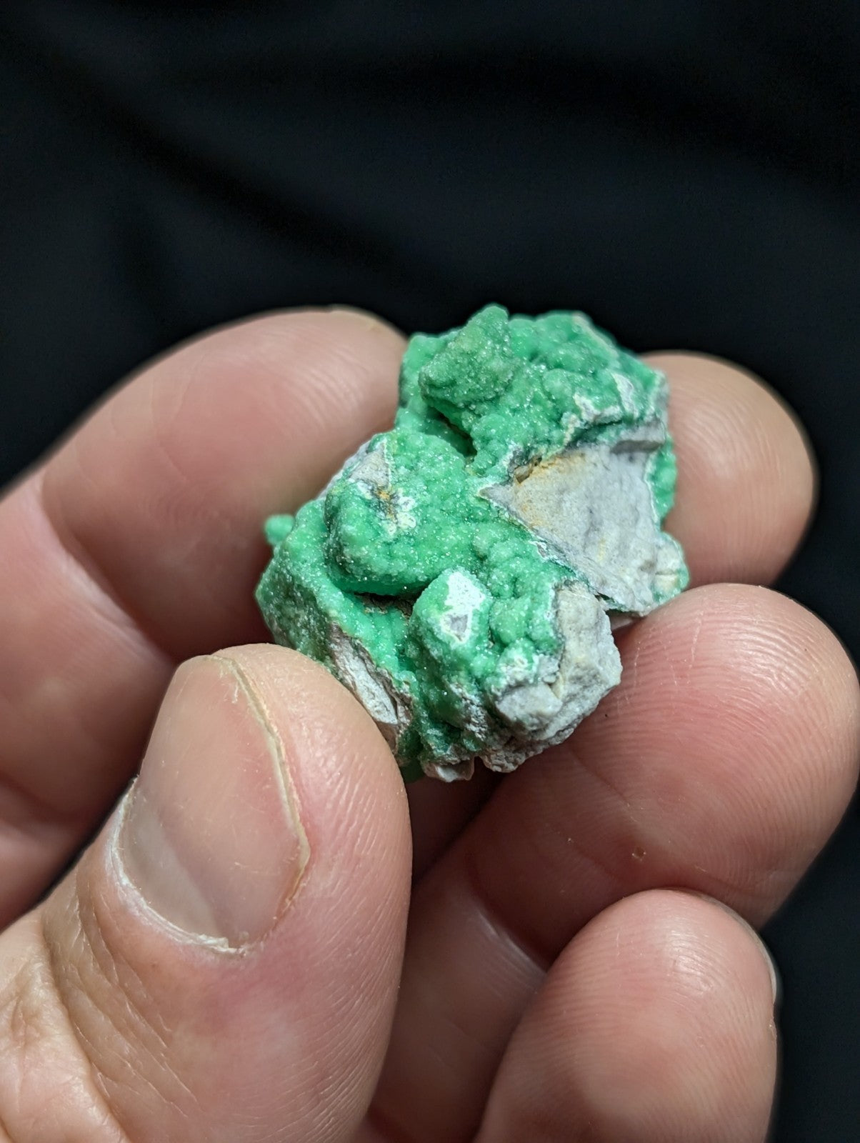 Variscite - Old Stock - 1960s Delinde claim - Garland County Arkansas - Collectibles:Rocks Fossils & Minerals:Crystals